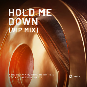 VY•DA的專輯Hold Me Down