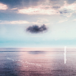 Album Little Cloud from Berezy