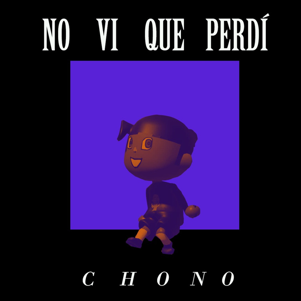 No Vi Que Perdí
