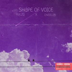 Dengarkan Shape Of Voice (Slowed|Reverb) lagu dari RXLZQ dengan lirik