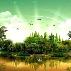 default playlist img