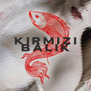 Listen to Kırmızı Balık song with lyrics from Gökcan Sanlıman