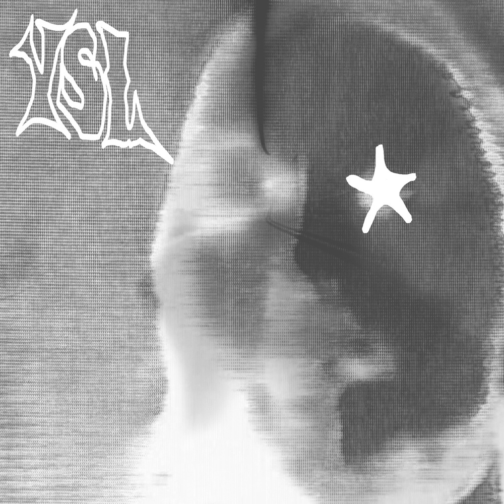 YSL (Explicit)