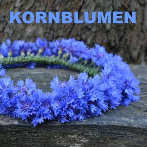 Various的专辑Kornblumen