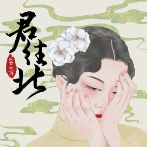 收听芸箐的君往北 (完整版)歌词歌曲