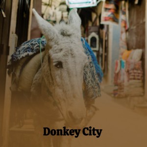 Album Donkey City from Various