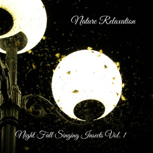 อัลบัม Nature Relaxation: Night Fall Singing Insects Vol. 1 ศิลปิน SPA Music