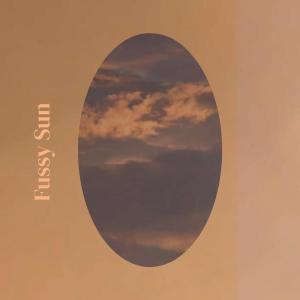 Album Fussy Sun from 