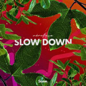 Album Slow Down from Aérotique