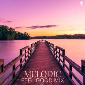 Album Melodic Feel Good Mix from Various