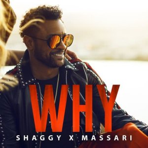 收聽Shaggy的Why歌詞歌曲