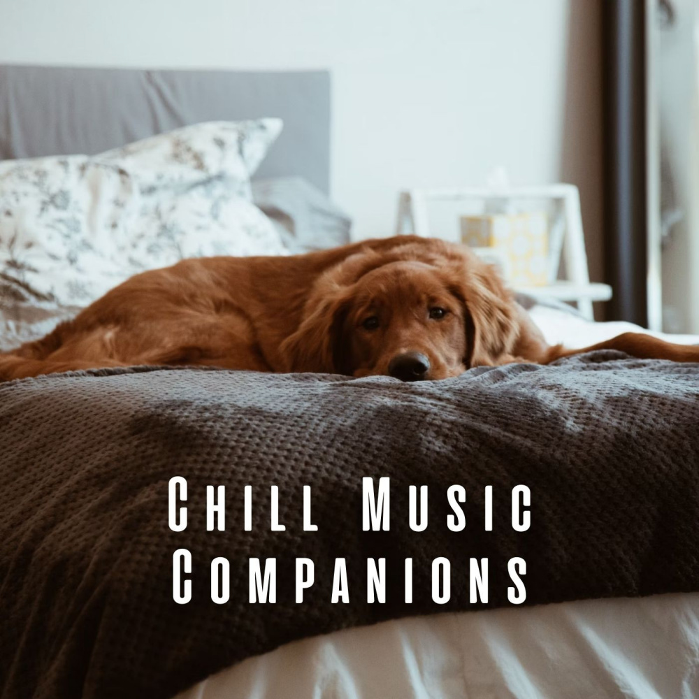 Wagging Dog's Tail Chill Sounds