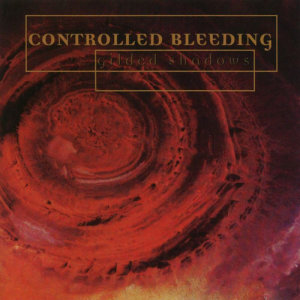 ดาวน์โหลดและฟังเพลง Fire Inside (Slow Dub Mix) พร้อมเนื้อเพลงจาก Controlled Bleeding
