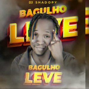 ดาวน์โหลดและฟังเพลง BAGULHO LEVE พร้อมเนื้อเพลงจาก DJ Shado Py