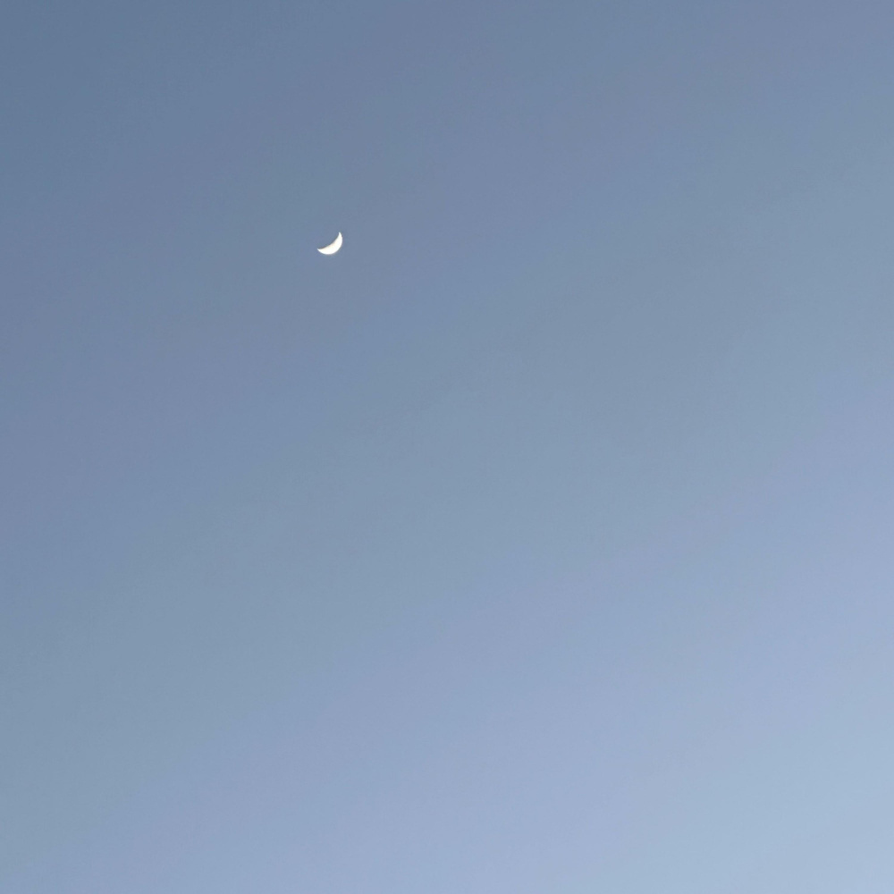 You and the stars (Inst.)