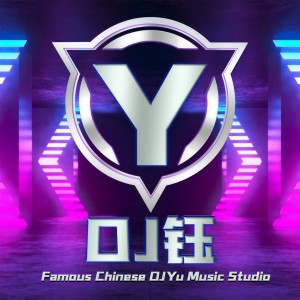 Listen to 我的心下起了雪 (DJ钰 remix) (Remix) song with lyrics from DJ钰