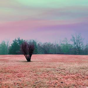 收聽Ateller的12 Hours in the Woods (Explicit)歌詞歌曲