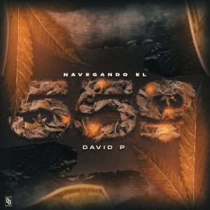 Album Navegando El 559 from David P