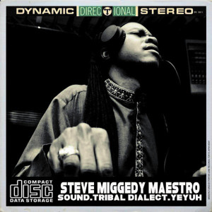 ดาวน์โหลดและฟังเพลง Sound พร้อมเนื้อเพลงจาก Steve Miggedy Maestro