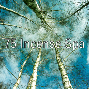 Listen to A Gift of Sleep song with lyrics from Best Relaxing Spa Music