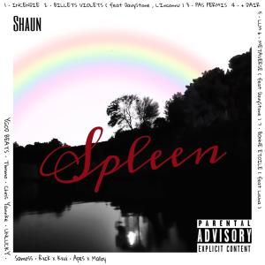 收聽Shaün的INCENDIE (Explicit)歌詞歌曲