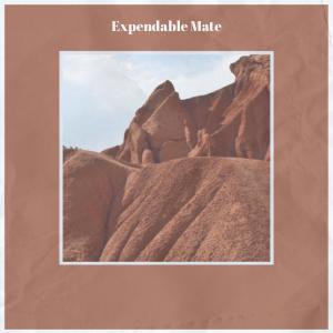 Album Expendable Mate from Various