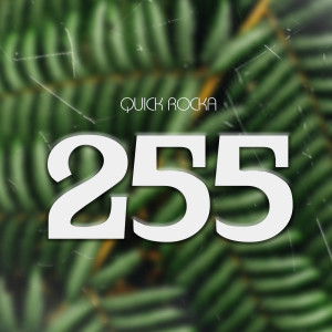 Listen to 255 song with lyrics from Quick Rocka