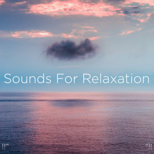 Listen to Sonidos Del Mar Para Relajar El Sueño song with lyrics from Ocean Sounds