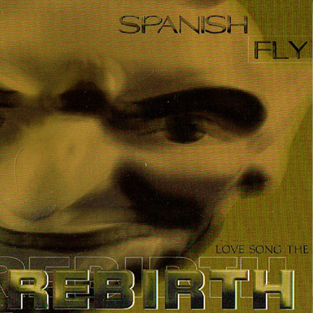Love Song - the Rebirth (DJ Digress-Mix)