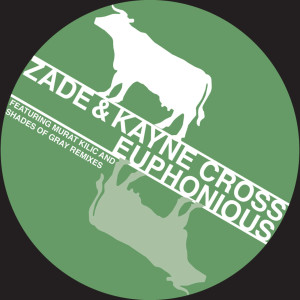 Listen to Euphonious (Original Mix) song with lyrics from Zade