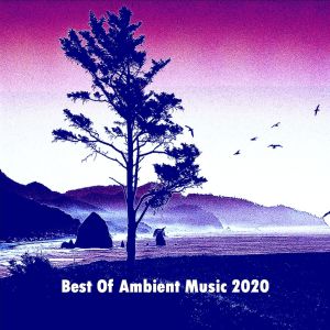 Album Best of Ambient Music 2020 from Various