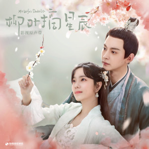 Album 柳叶摘星辰 影视原声带 from 蒋敦豪