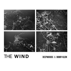 DeepWoods的專輯The Wind