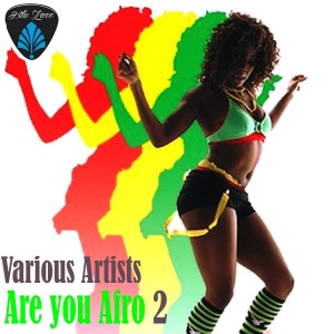 Young DJ的專輯Are You Afro 2