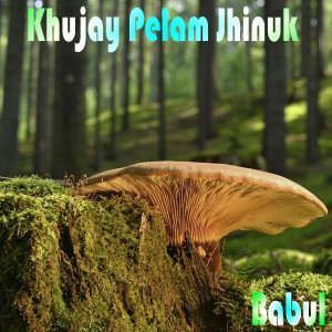 Babul的專輯Khujay Pelam Jhinuk