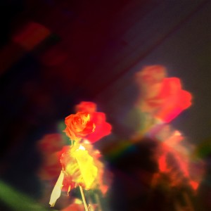 收聽Wasia Project的Petals on the Moon歌詞歌曲