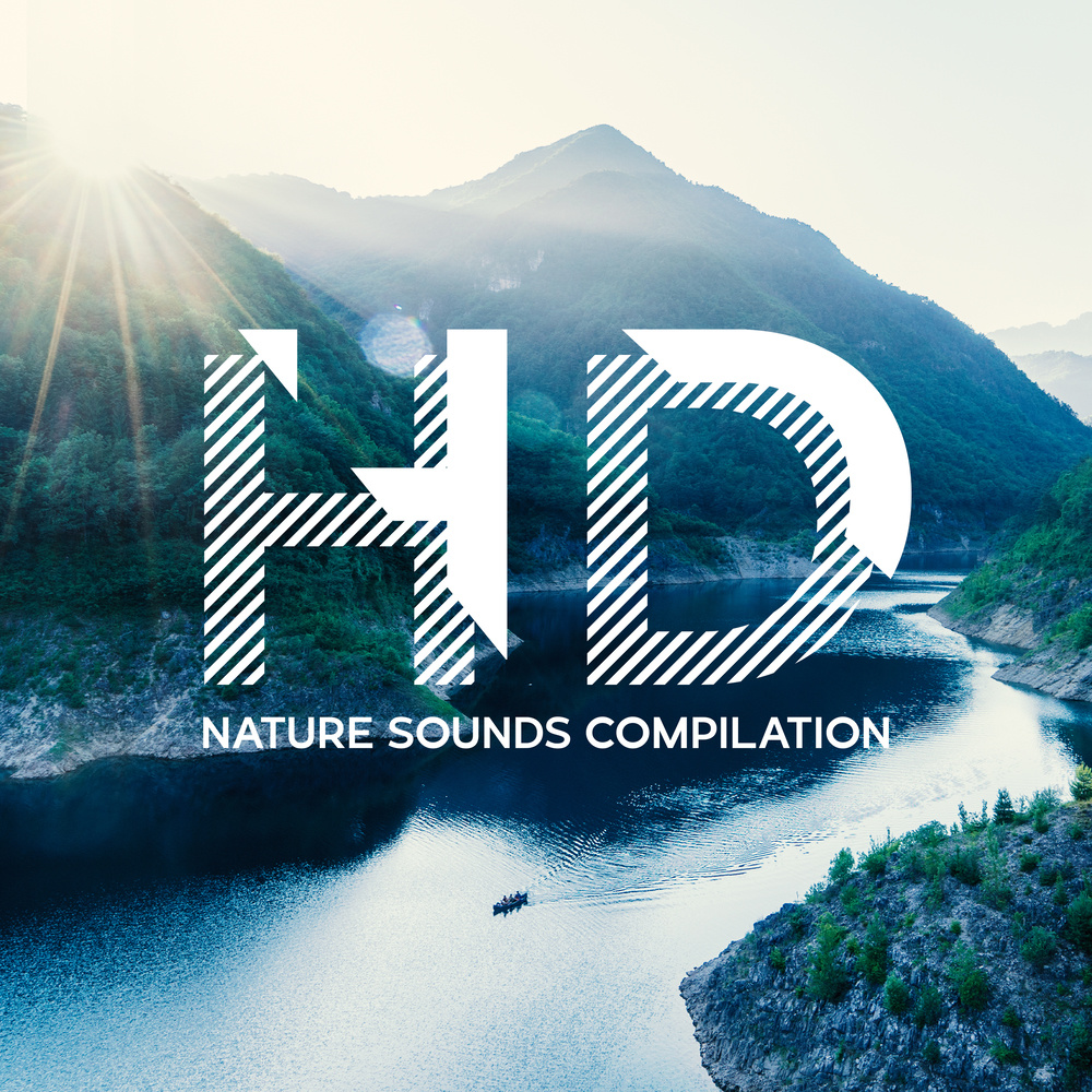 HD Nature Sounds Compilation