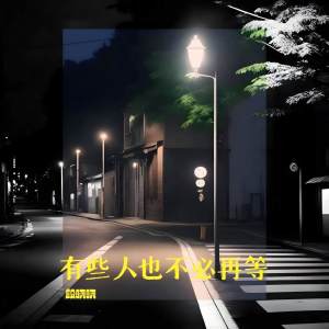 Album 有些人也不必再等 from 段晓晓