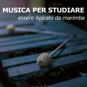 Dengarkan Progresso dello studio (versione marimba) lagu dari Musica per Studiare dengan lirik