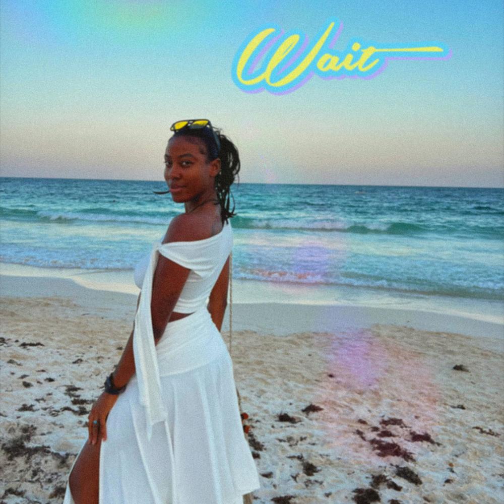 Wait (Explicit)