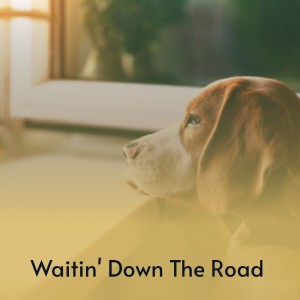 收听Jim Ed Brown & The Browns的Scarlet Ribbons歌词歌曲