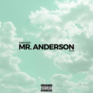Mr Anderson (Explicit)