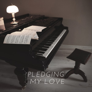 Album Pledging My Love from Shirley Jones