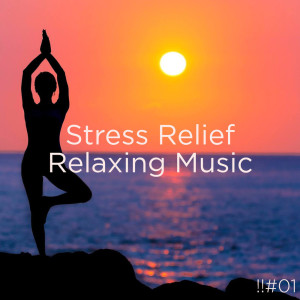 Listen to Deep Sleep Music & Oceans song with lyrics from BodyHI