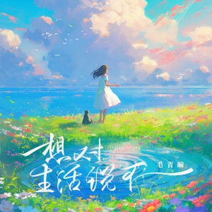 Album 想对生活说不 from 毛省曈