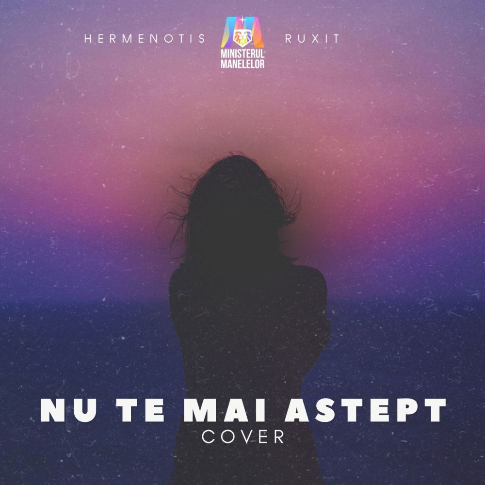 Nu te mai aștept (Cover)