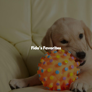 Fido's Favorites