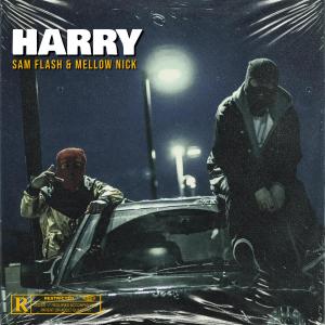 Album Harry (Explicit) from Sam Flash