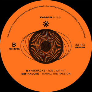 ดาวน์โหลดและฟังเพลง Roll with It พร้อมเนื้อเพลงจาก Schacke