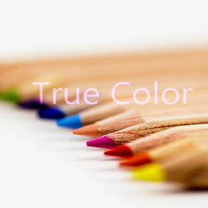 ดาวน์โหลดและฟังเพลง Imagine พร้อมเนื้อเพลงจาก True Color